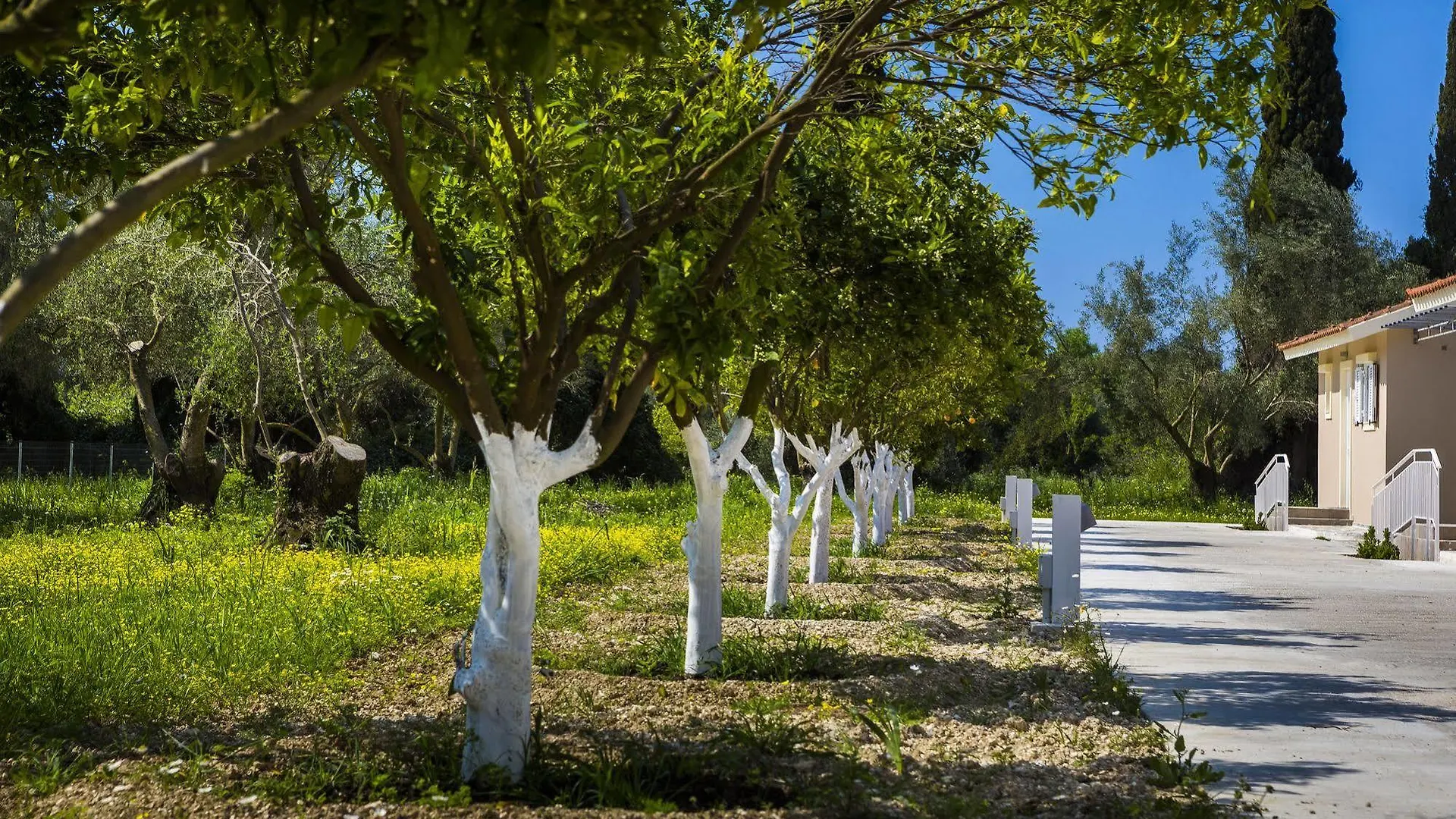 Cypress Garden Villas Mousata Hotel