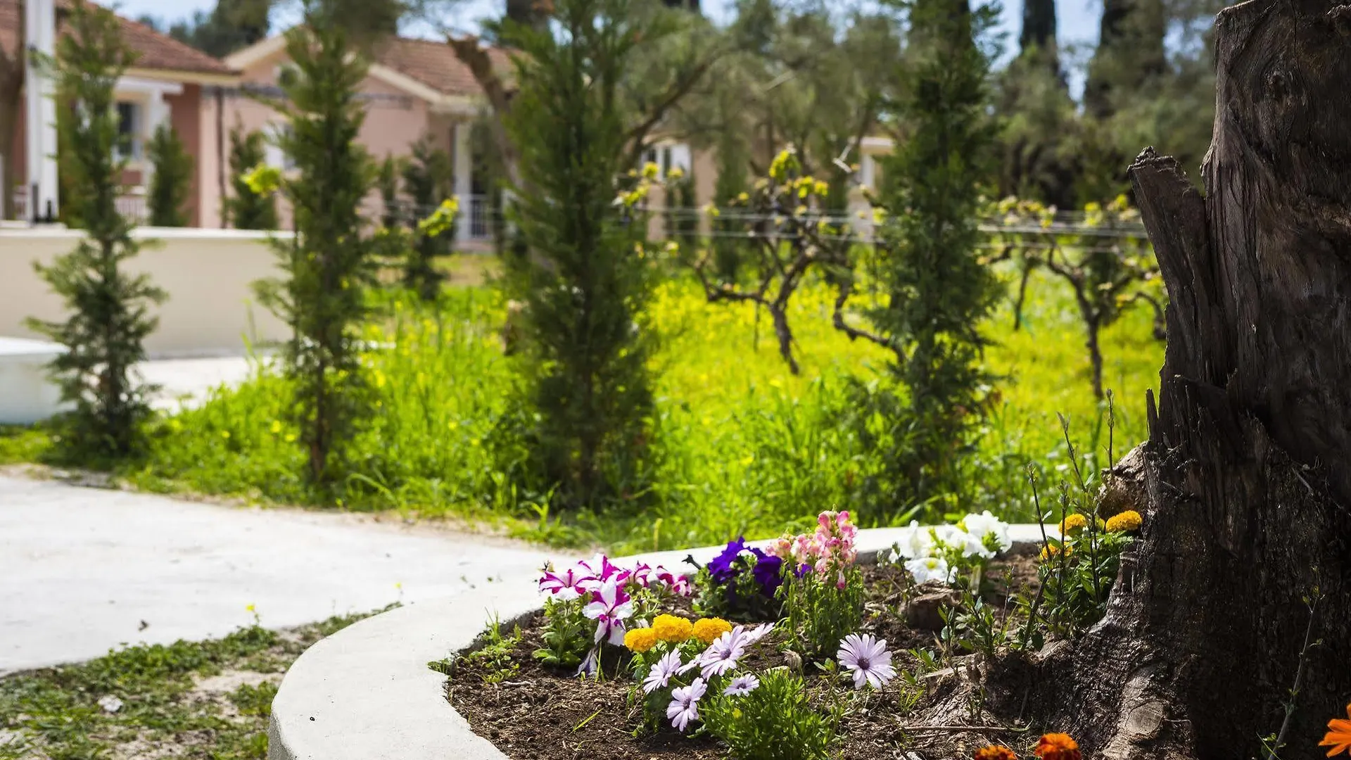 Cypress Garden Villas Mousata